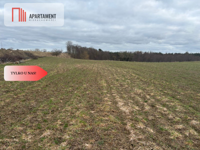 Działki z potencjałem  - Liniewskie Góry - Liniewskie Góry  -
Pomorskie Zdjęcie nr 12