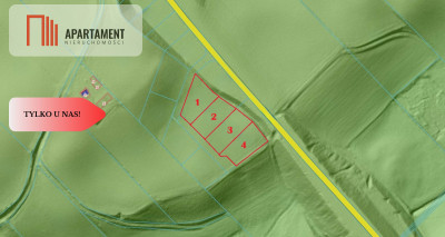 Działki z potencjałem  - Liniewskie Góry - Liniewskie Góry  -
Pomorskie Zdjęcie nr 5