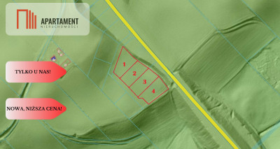 Działki z potencjałem  - Liniewskie Góry - Liniewskie Góry  -
Pomorskie Zdjęcie nr 6