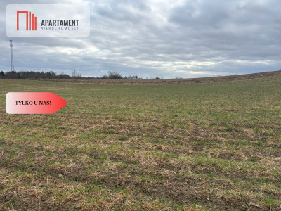 Działki z potencjałem  - Liniewskie Góry - Liniewskie Góry  -
Pomorskie Zdjęcie nr 7