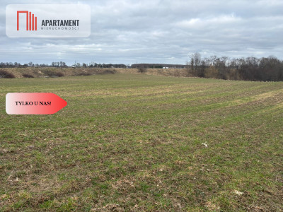 Działki z potencjałem  - Liniewskie Góry - Liniewskie Góry  -
Pomorskie Zdjęcie nr 9