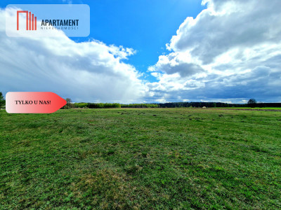 Tylko u Nas Działka z pięknym widokiem - Lubocień  -
Kujawsko-Pomorskie Zdjęcie nr 6