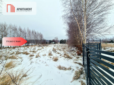 Linia brzegowa jeziora Własny pomost - Sucha  -
Kujawsko-Pomorskie Zdjęcie nr 2