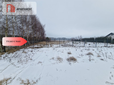 Linia brzegowa jeziora Własny pomost - Sucha  -
Kujawsko-Pomorskie Zdjęcie nr 3