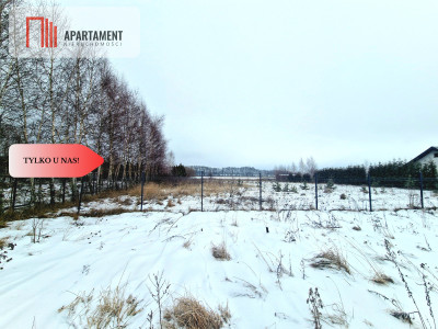 Linia brzegowa jeziora Własny pomost - Sucha  -
Kujawsko-Pomorskie Zdjęcie nr 7