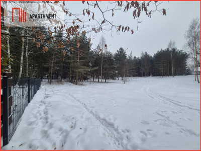 Działka Boroszewo - Boroszewo  - Pomorskie