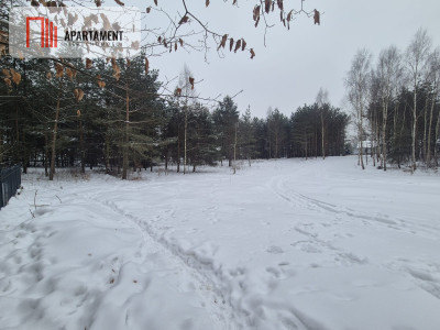 Działka Boroszewo - Boroszewo  -
Pomorskie Zdjęcie nr 2