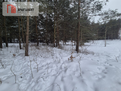 Działka Boroszewo - Boroszewo  -
Pomorskie Zdjęcie nr 4