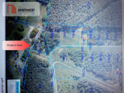 Działka pod lasem w spokojnej okolicy - Czeszów  -
Dolnośląskie Zdjęcie nr 11