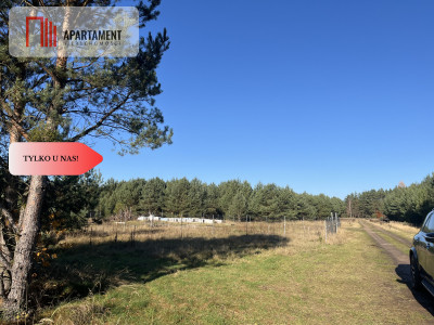 Działka pod lasem w spokojnej okolicy - Czeszów  -
Dolnośląskie Zdjęcie nr 14