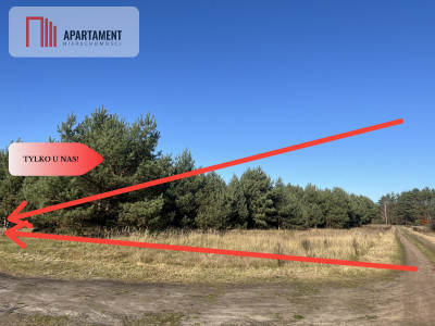 Działka pod lasem w spokojnej okolicy - Czeszów  - Dolnośląskie