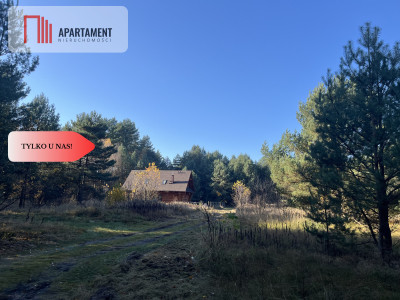 Działka pod lasem w spokojnej okolicy - Czeszów  -
Dolnośląskie Zdjęcie nr 9