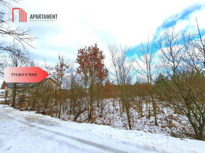 MORZEWIEC 3260m2 WYDANE WZ CISZA SPOKÓJ - Morzewiec  -
Kujawsko-Pomorskie Zdjęcie nr 2