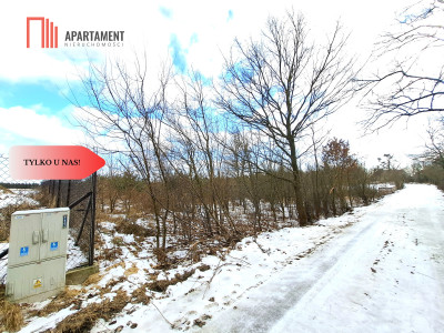 MORZEWIEC 3260m2 WYDANE WZ CISZA SPOKÓJ - Morzewiec  -
Kujawsko-Pomorskie Zdjęcie nr 3