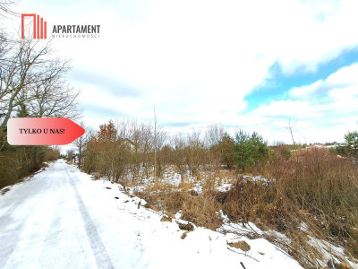 MORZEWIEC 3260m2 WYDANE WZ CISZA SPOKÓJ - Morzewiec  -
Kujawsko-Pomorskie Zdjęcie nr 5