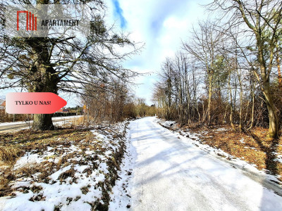 MORZEWIEC 3260m2 WYDANE WZ CISZA SPOKÓJ - Morzewiec  -
Kujawsko-Pomorskie Zdjęcie nr 7