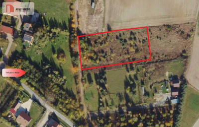MORZEWIEC 3260m2 WYDANE WZ CISZA SPOKÓJ - Morzewiec  -
Kujawsko-Pomorskie Zdjęcie nr 9