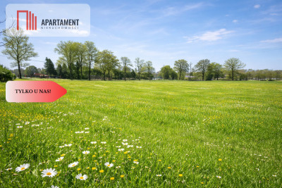 Na sprzedaż działka rolna 5 ha - Duba  -
Warmińsko-Mazurskie Zdjęcie nr 2