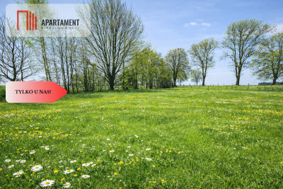 Na sprzedaż działka rolna 5 ha - Duba  -
Warmińsko-Mazurskie Zdjęcie nr 4