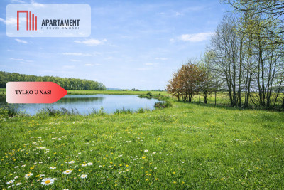 Na sprzedaż działka rolna 5 ha - Duba  -
Warmińsko-Mazurskie Zdjęcie nr 5