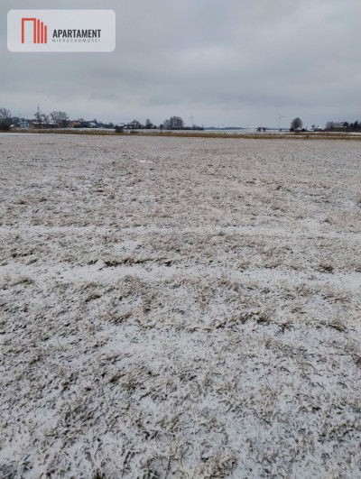 Działka rolna na malowniczym terenie - Kładno  -
Zachodniopomorskie Zdjęcie nr 3