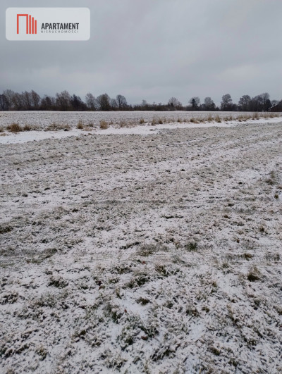 Działka rolna na malowniczym terenie - Kładno  -
Zachodniopomorskie Zdjęcie nr 4