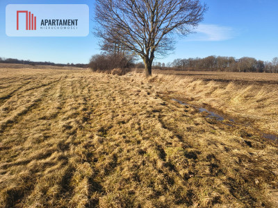 Działka rolna na malowniczym terenie - Kładno  -
Zachodniopomorskie Zdjęcie nr 5