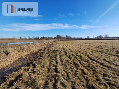 Działka rolna na malowniczym terenie - Kładno  -
Zachodniopomorskie Zdjęcie nr 7