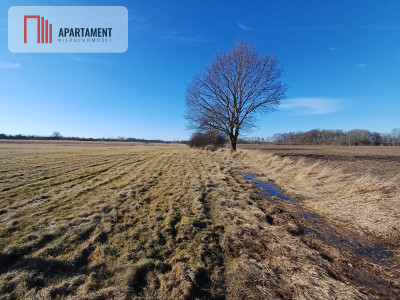 Działka rolna na malowniczym terenie - Kładno  -
Zachodniopomorskie Zdjęcie nr 8