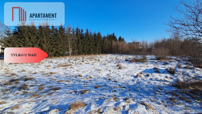Tylko u nas Działka w Ślesinie 1500 mkw - Ślesin  -
Kujawsko-Pomorskie Zdjęcie nr 5