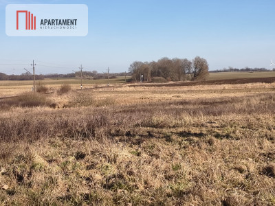 17 ha Działka rolna w nadmorskim Tymieniu - Tymień  -
Zachodniopomorskie Zdjęcie nr 4