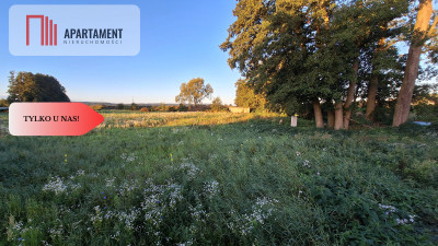 Działka w dobrym miejscu - Chodzież  -
Wielkopolskie Zdjęcie nr 4