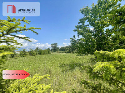 Działka z warunkami zabudowy i mediami - Laskownica Wielka  -
Wielkopolskie Zdjęcie nr 6