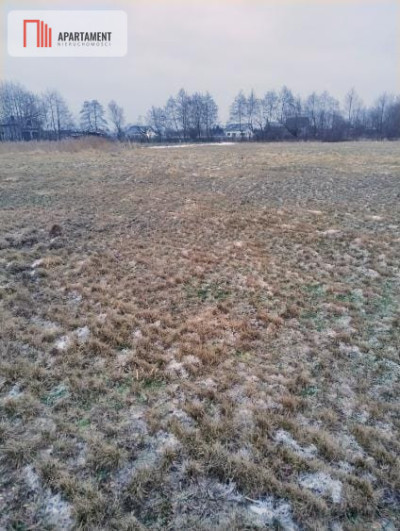 Działki z perspektywą na pełnych uroku terenach - Kładno  -
Zachodniopomorskie Zdjęcie nr 3