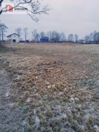 Działki z perspektywą na pełnych uroku terenach - Kładno  -
Zachodniopomorskie Zdjęcie nr 4