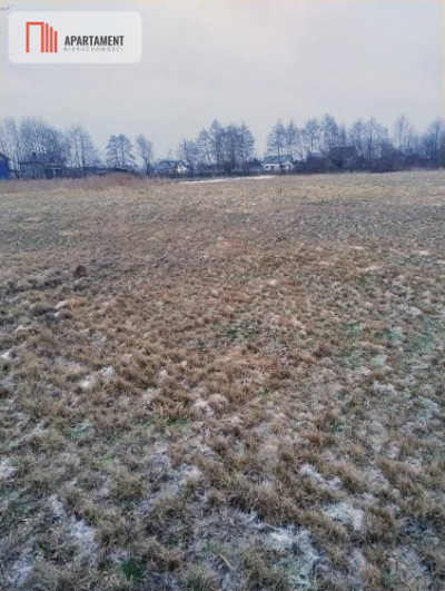 Działki z perspektywą na pełnych uroku terenach - Kładno  -
Zachodniopomorskie Zdjęcie nr 5