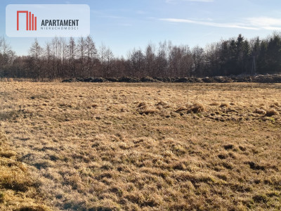 Działki z perspektywą na pełnych uroku terenach - Kładno  -
Zachodniopomorskie Zdjęcie nr 6