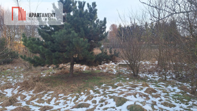 Działka z WZ i stawem - Rożnowo  -
Wielkopolskie Zdjęcie nr 2