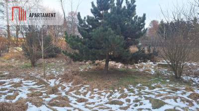 Działka z WZ i stawem - Rożnowo  -
Wielkopolskie Zdjęcie nr 6