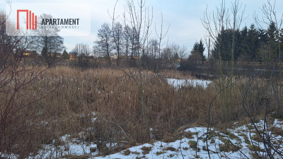 Działka z WZ i stawem - Rożnowo  -
Wielkopolskie Zdjęcie nr 7