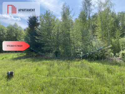 Przestronna działka budowlana w Makowie - Makowo  -
Warmińsko-Mazurskie Zdjęcie nr 3