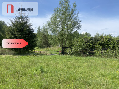 Przestronna działka budowlana w Makowie - Makowo  -
Warmińsko-Mazurskie Zdjęcie nr 6