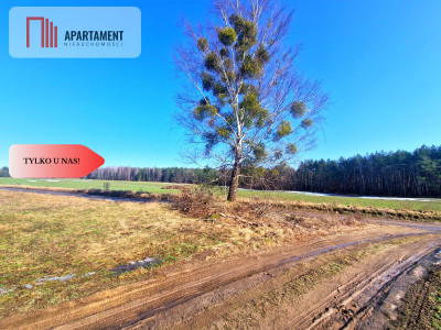 Tylko u Nas Działka budowlana w Odrach - Odry  -
Pomorskie Zdjęcie nr 3