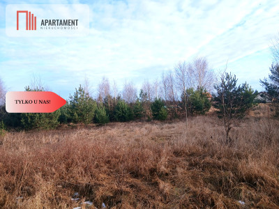 TYLKO U NAS Tu zbudujesz dom marzeń - Nowa Cerkiew  -
Pomorskie Zdjęcie nr 2