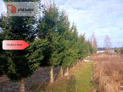 TYLKO U NAS Tu zbudujesz dom marzeń - Nowa Cerkiew  -
Pomorskie Zdjęcie nr 3