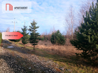 TYLKO U NAS Tu zbudujesz dom marzeń - Nowa Cerkiew  -
Pomorskie Zdjęcie nr 5