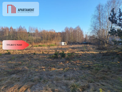 Działki 1385 m i 1926 m w leśnej otulinie z WZ - Mąkoszyn  - Kujawsko-Pomorskie