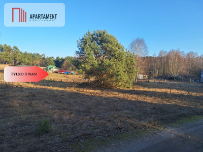 Działki 1385 m i 1926 m w leśnej otulinie z WZ - Mąkoszyn  -
Kujawsko-Pomorskie Zdjęcie nr 2