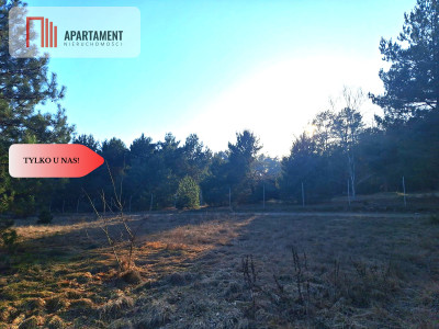 Działki 1385 m i 1926 m w leśnej otulinie z WZ - Mąkoszyn  -
Kujawsko-Pomorskie Zdjęcie nr 3