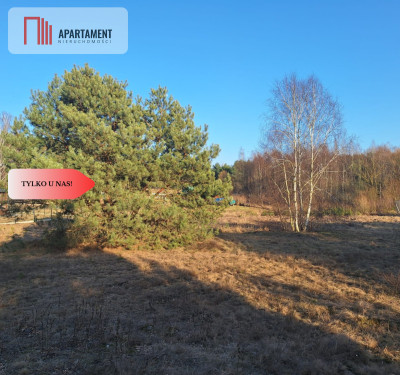 Działki 1385 m i 1926 m w leśnej otulinie z WZ - Mąkoszyn  -
Kujawsko-Pomorskie Zdjęcie nr 5